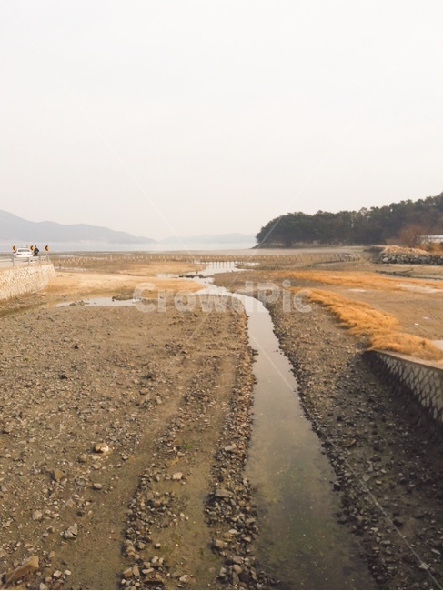 바닷가,해안선,바닷길,갯벌,썰물,해안도로