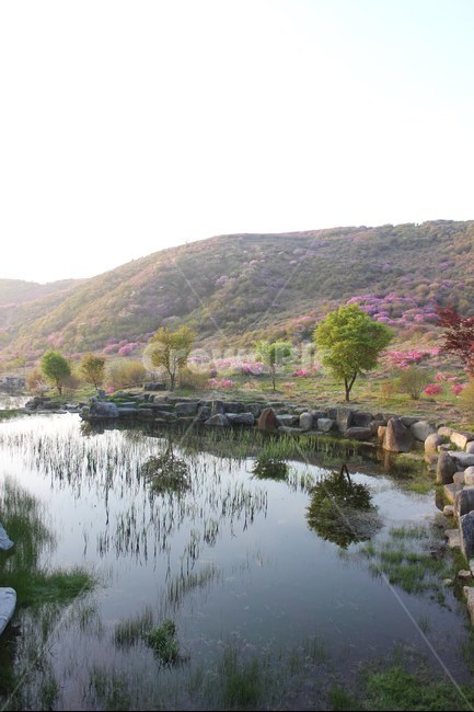 경치,자연,풍경,하늘,나무,봄,계절,spring,season,자연,풍경,nature,landscape,한국자연풍경,한국자연경관,korea nature landscape,water,물,outdoors,옥외