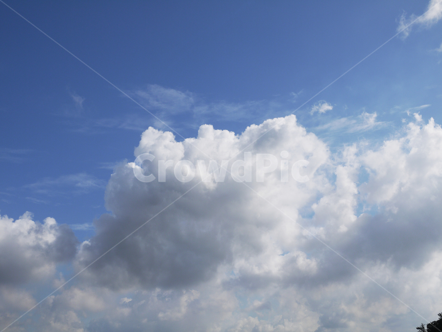sunshine,season,cumulus,sunny,color,wind,freedom,heavenly,whiteclouds,skyclouds,skybackground,azure,fresh,pure,seasonal,meteorology,peace,view,landscape,soft,pattern,clouds,scenic,design,backdrop,daylight,natural,environment,sunlight,cloudscape,atmosphere,beauty,cloud,high,climate,bright,air,beautiful,white,heaven,cloudy,light,background,weather,nature,blue,sky,하늘,자연,날씨,배경,아름다운,푸른,구름,구름풍경,흐린,적운,환경,신선한,천국,높은,경치,풍경화,하늘구름,하늘배경,햇빛,흰구름