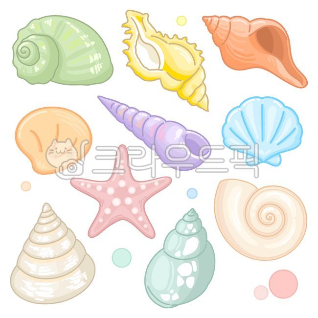 Summer,shell,seashell,illustration,beach,shellfish,snail,sea,sky,starfish,sea shell,pearl,ammonite,pastel,season,seasonal,object,sandy beach,seaside,marine life,colorful,line drawing