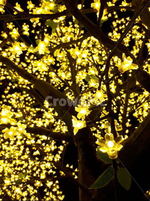 빛,꽃,light,나무,밤,전구,배경,조형물