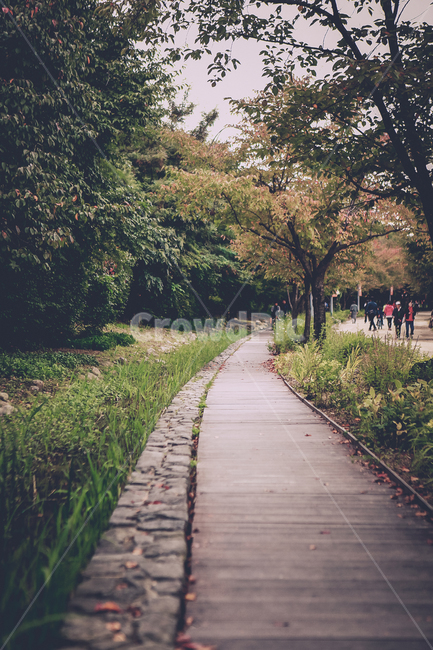 공원,돌다리,나무,산책,감성,길,자연,풍경,nature,landscape,사람들,대중,군중,other people,crowd,path,통로,walkway,보도,sidewalk,pavement,포장