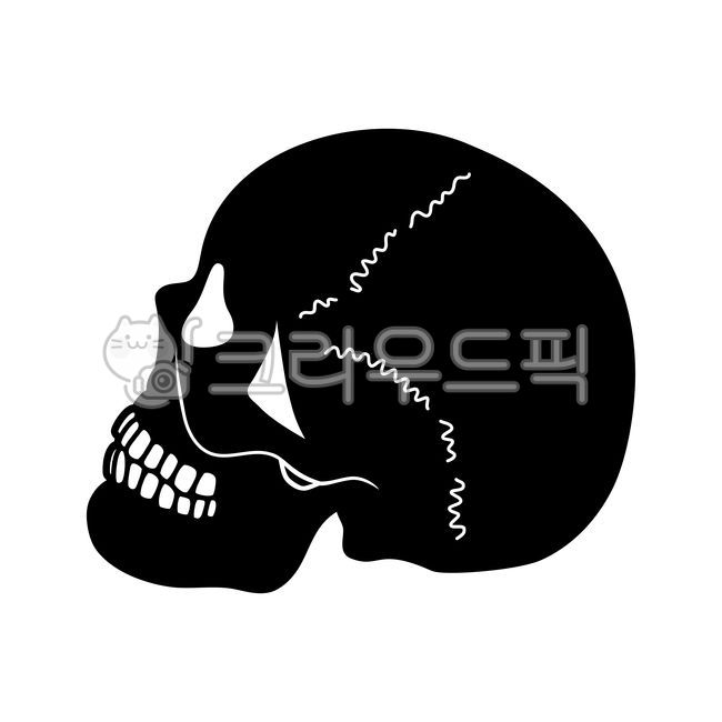 인체,해골,해골그림,해골일러스트,뼈,뼈그림,뼈일러스트,해골타투,해골그리기,해부학,골격,메디컬일러스트,두개골,skull,medical,의료,의학,병원,그래픽,일러스트레이션,hospital,clinic,anatomy,graphic,illustration,해적,해적선,해적깃발