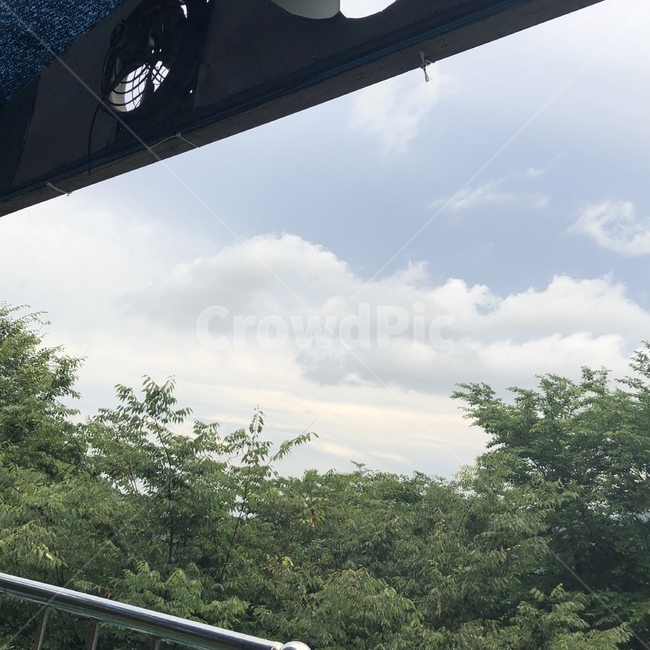 나무,하늘,풍경,tree,sky,자연,nature