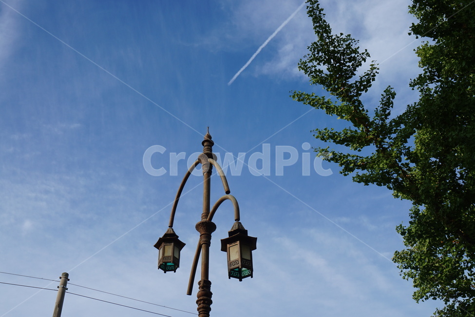 하늘,공원,나무,구름,여름분위기,sky,park,tree,cloud
