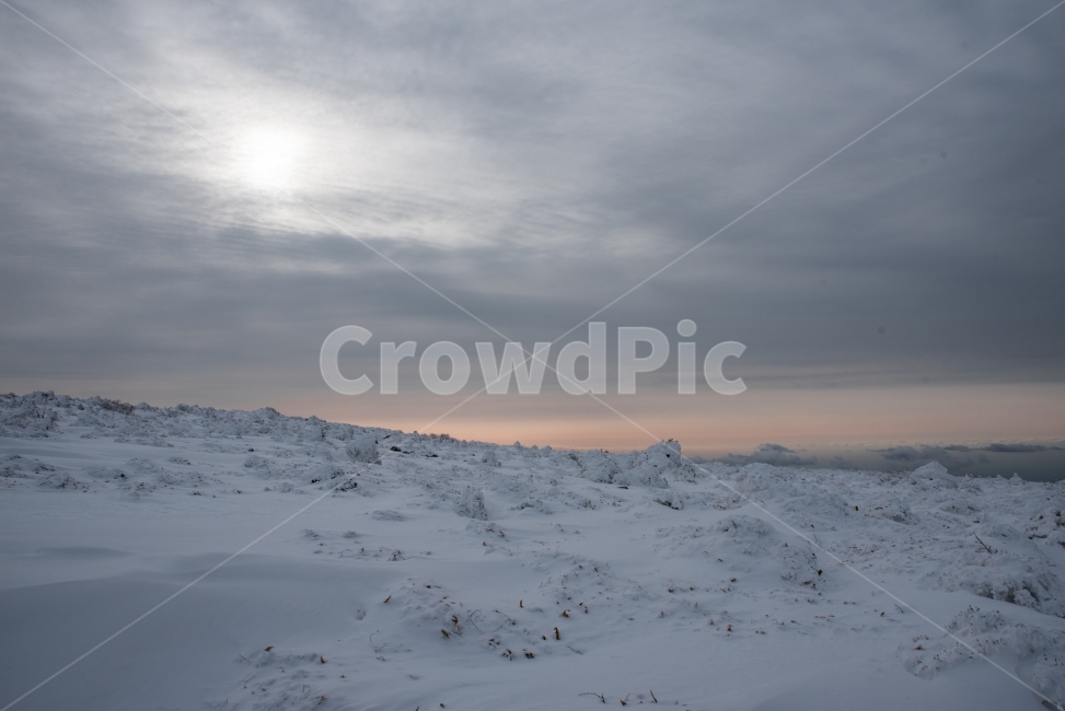 겨울,겨울풍경,한라산,제주도,눈꽃,겨울,계절,winter,season,자연,풍경,nature,landscape,outdoors,옥외