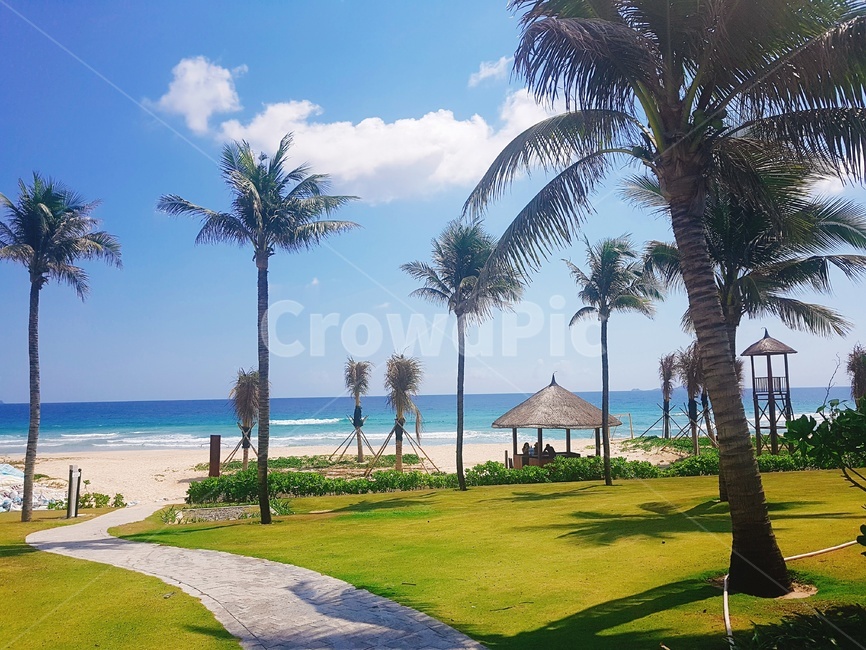 베트남,나트랑,해변,해외,야자수,여행,풍경,여름,계절,summer,season,해변,바다,beach,sea