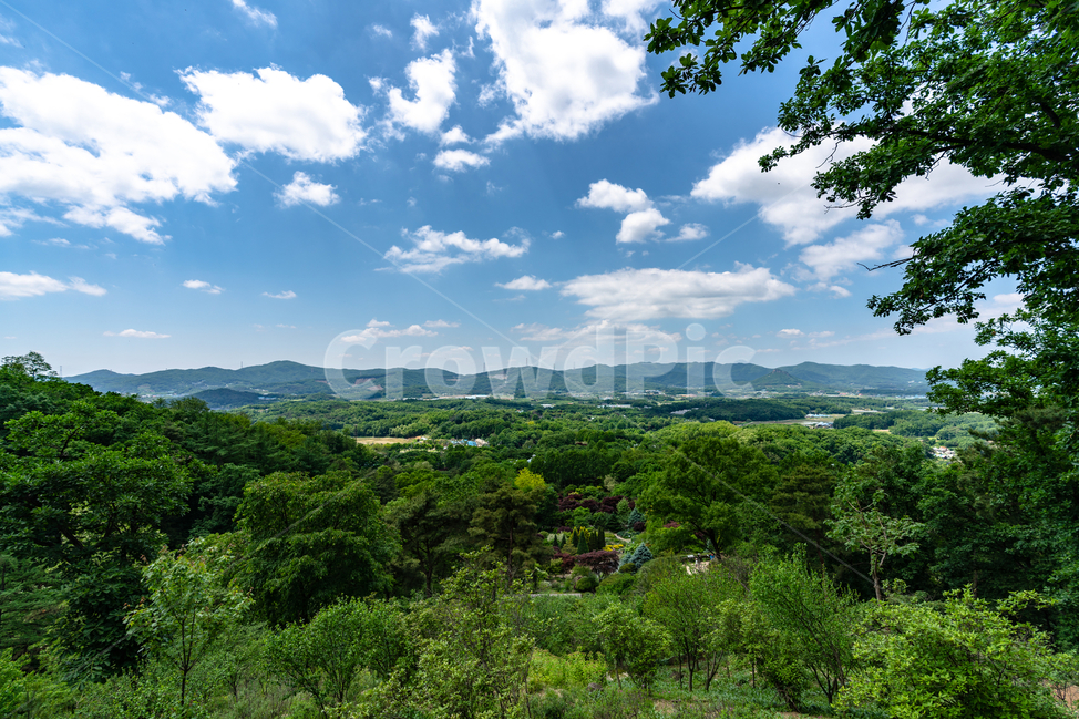 맑음,하늘,나무,푸르름,공원,숲,sky,tree,park,foreset,자연,풍경,nature,landscape,outdoors,옥외