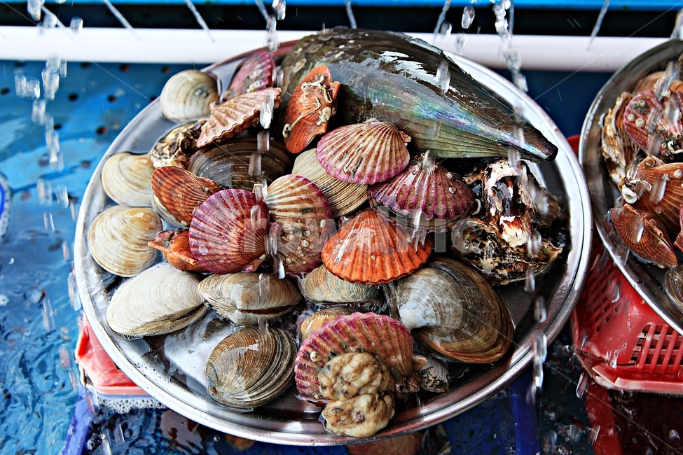 조개,조개살,조개껍데기,식자재,음식,요리,시장,마트,마켓,market,mart,market place,음식,식재료,요리,food,cook,meal,dishes,food reserves,수산물,해산물,fishery products,seafood