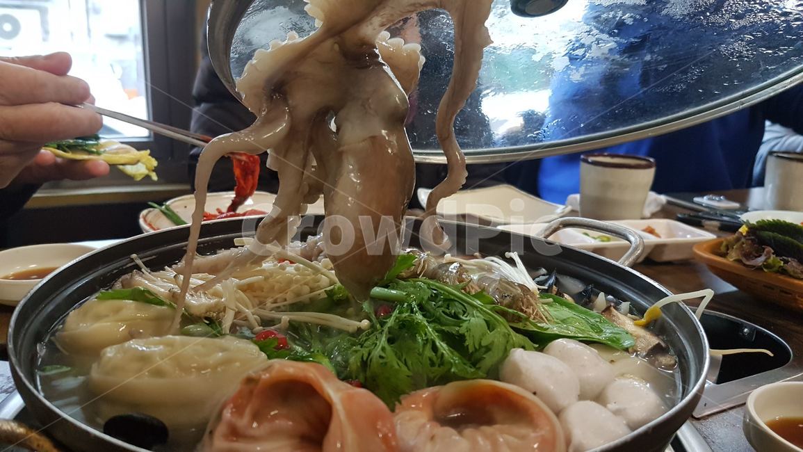샤부샤부,문어,낙지,음식,만두,음식,식재료,요리,food,cook,meal,dishes,food reserves