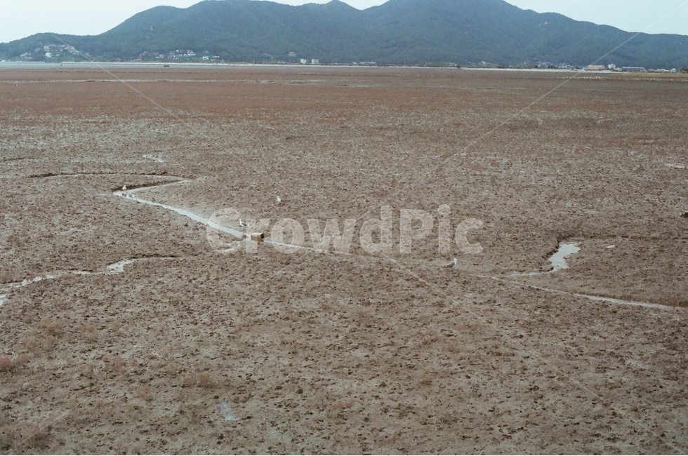 바다,진흙,갯벌,풍경,자연,자연,풍경,nature,landscape,ground,바닥,soil,흙,gravel,자갈,dirt road,흙길,road,도로,outdoors,옥외