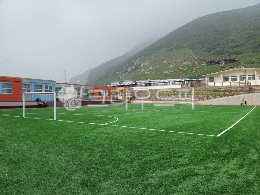 elementary school,Futsal,field,school,soccer field,Futsal field,correction