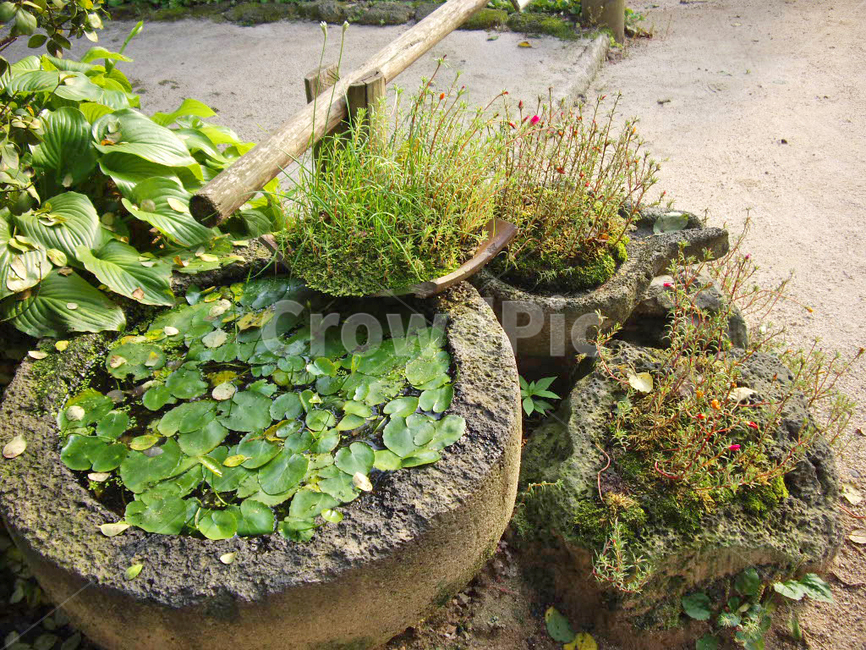 민속촌,민속마을,한국전통,전통,전통마을,한국문화,보존,한국의미,옛마을,village,nature,plant,자연,풍경,식물,korean,주거지,traditional,culture,outdoors,전통정원,옥외,마당