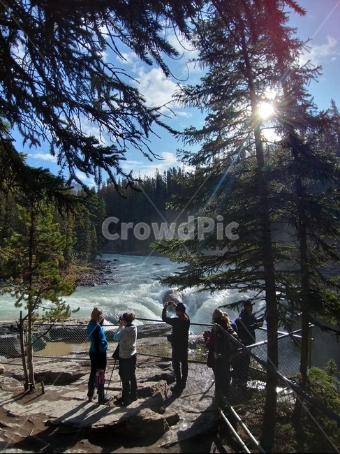 human,인간,plant,식물,person,사람,전나무,숲,햇살,캐나다,로키산맥,로키,canada,rocky