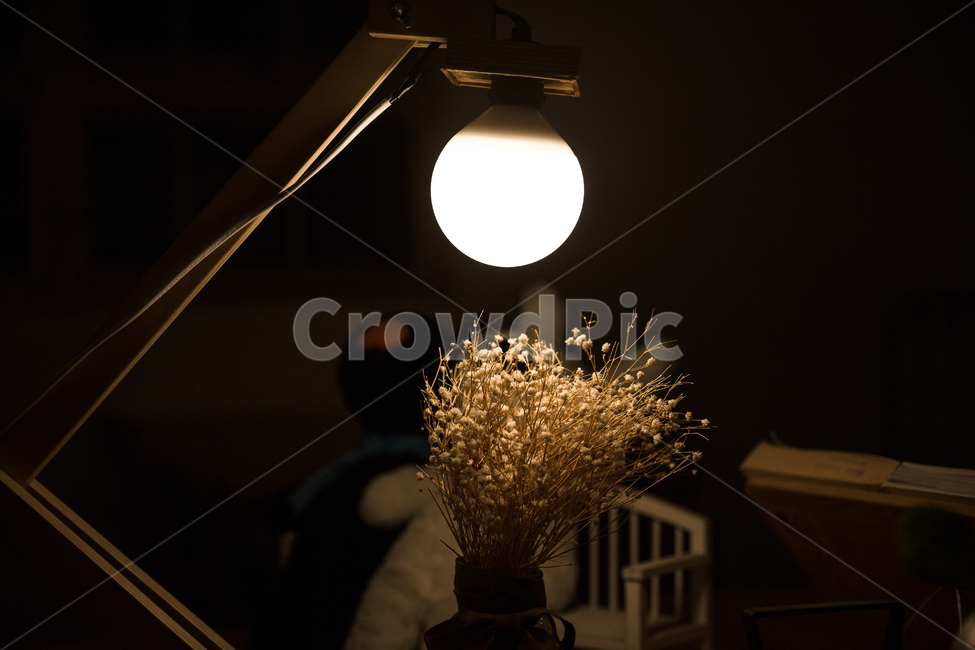 카페,조명,화분,스포트라이트,전등,사물,물건,오브젝트,thing,object,matter