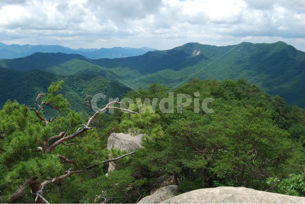 칠보산,국립공원,탐방로,휴양림,한국명산,쉼,자연,들꽃,물,자연,풍경,nature,landscape,한국자연풍경,한국자연경관,korea nature landscape,outdoors,옥외