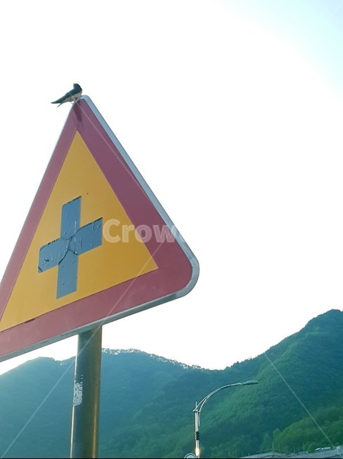 제비,표지판,새,교통표지판,하늘,산
