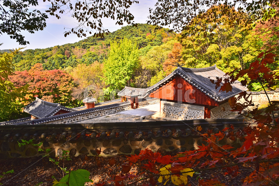 남한산성,한국전통,세계문화유산,유네스코,가을,koreatraditional,shrine,ancestralshrine,사당,유형문화재,문화유적지,역사,히스토리,history,unesco,기와지붕,한국자연경관,가을배경,단풍나무,단풍숲,forest,가을풍경,fall,season,시즌,계절,가을분위기,가을서정,야외,옥외,아웃도어,outdoor,autumn,가을,계절,fall,autumn,season,한국전통,한국문화,korean traditional,korean culture,건축물,건물외관,exterior,building,structure,architecture,construction,leaf,잎,plant,식물,nature,자연,outdoors