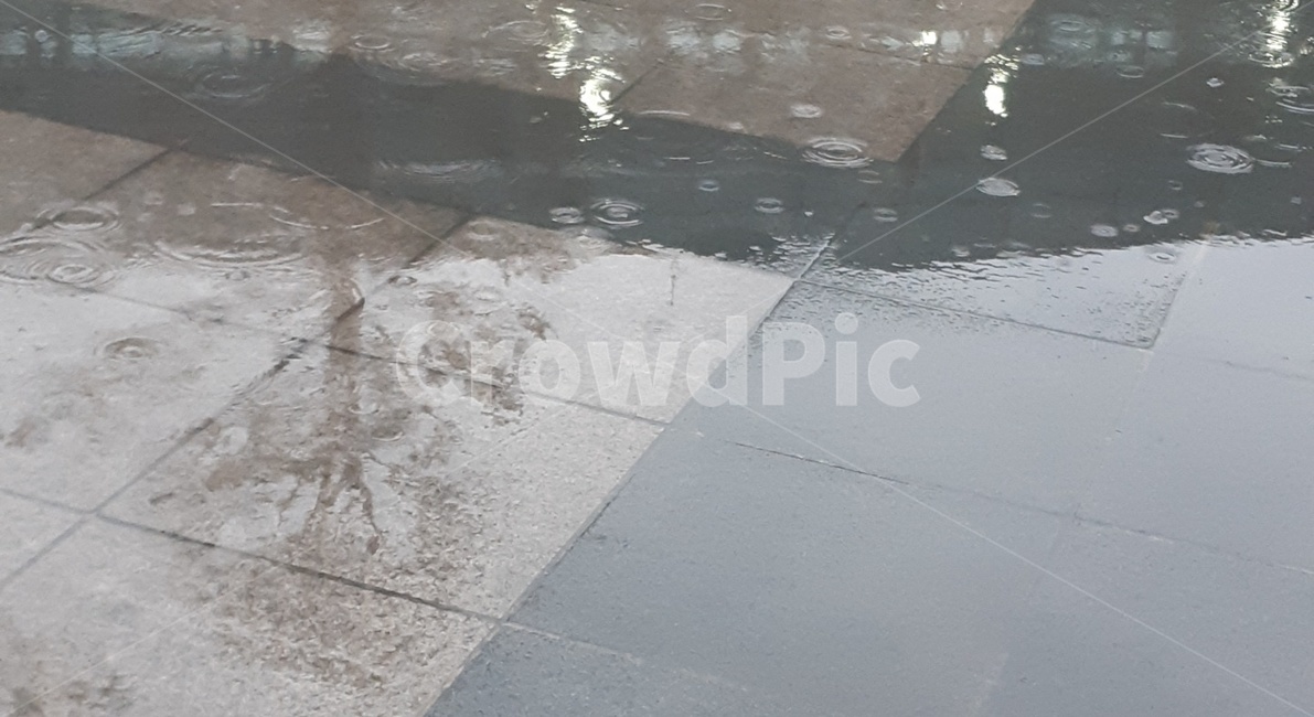 비,물웅덩이,거울,그림자,빗방울,비,비오는날,rain,rainy