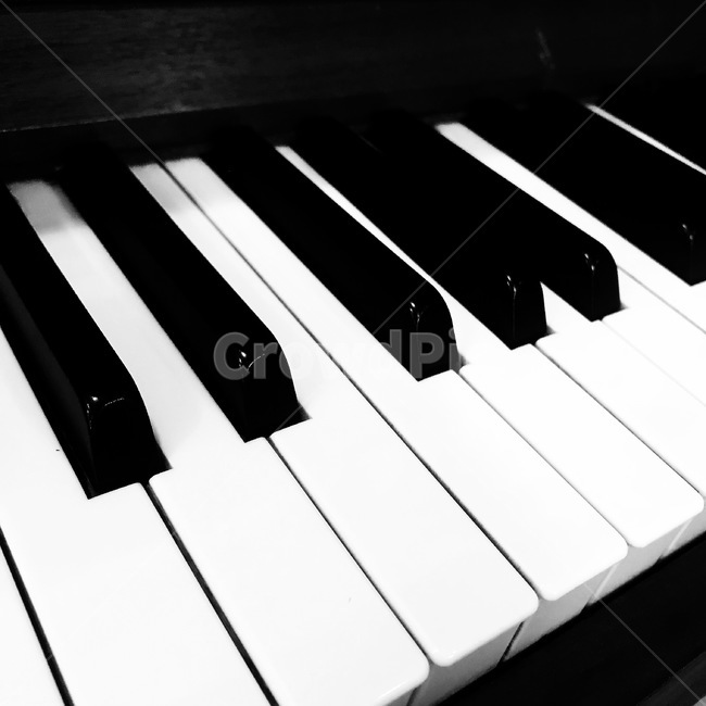 피아노,건반,음악,흑백사진,music,piano,흑건백건,노래,악기,음향기기,musical instrument,musical equipment