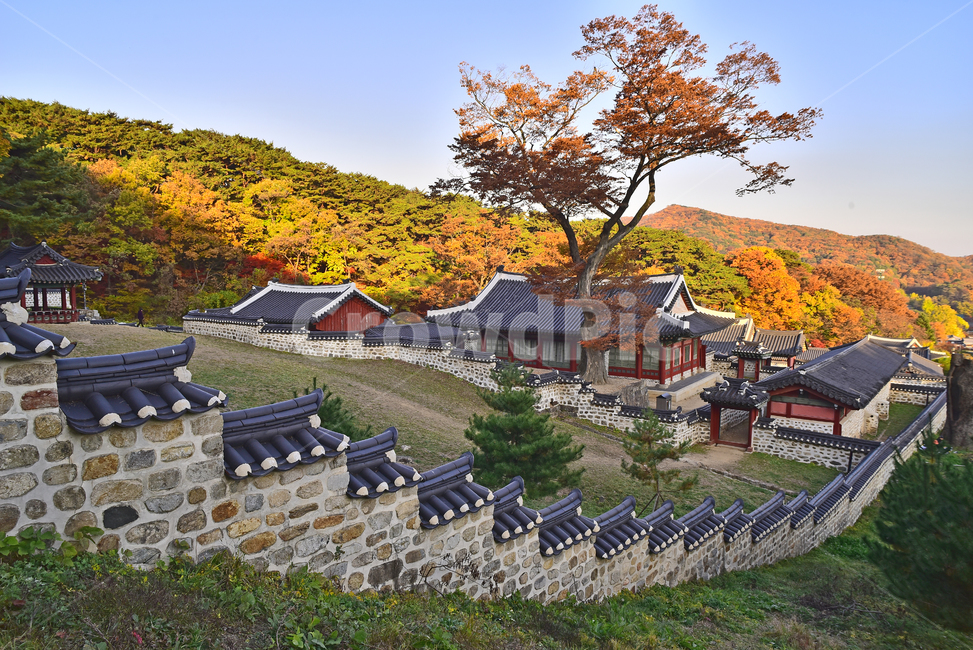 가을,남한산성,세계문화유산,유네스코,행궁,unesco,유적지,조선시대,옛건축물,복원,가을풍경,가을배경,가을분위기,가을서정,시즌,계절,season,fall,autumn,background,architecture,건축물,building,건물,야외,옥외,아웃도어,outdoor,한국자연경관,한국자연풍경,풍경,landscape,돌담,기와지붕,전통양식,석축,칼라풀,컬러풀,colorful,tree,plant,식물,나무,가을,계절,fall,autumn,season,한국전통,한국문화,korean traditional,korean culture,랜드마크,landmark,tourist attraction,한국랜드마크,한국관광지,한국명소,korea landmark,korea tourist attraction,건축물,건물외관,exterior,building,structure,architecture,construction,outdoors,nature,자연,경치