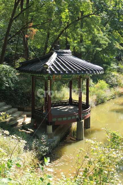여름,정자,정원,경복궁,전통