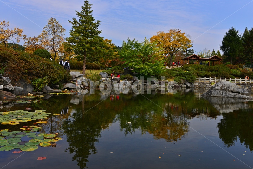 대전,국립대전현충원,현충원,현충지,연못,nature,자연,outdoors,옥외,leaf,잎,plant,식물,person,사람,human,인간,tree,나무,소풍,가을,계절,추색,추경,경치,경관,풍경,water,물,정자,현충지반영