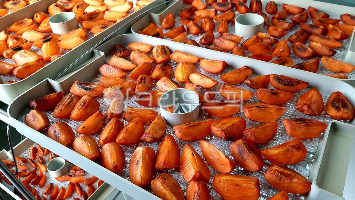 감말랭이,감,건조,건조기,트레이,과일,단감,대봉감,과일말리기,감말리기