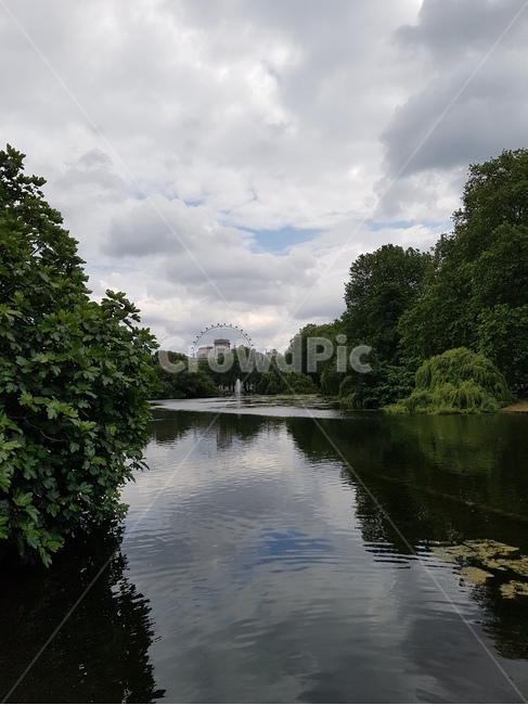 St James Park,blue sky,tree,london eye,riverside