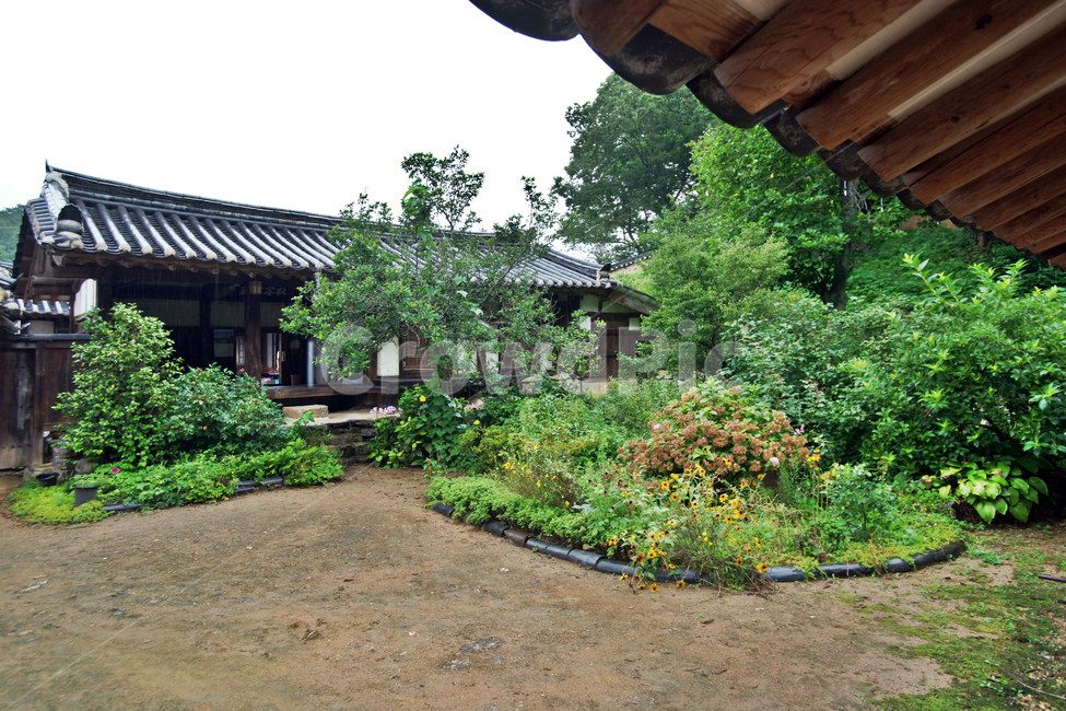 서백당,손소,양동마을,경주,유네스코세계유산,조선시대,전통가옥,양반,문화재,기와집,민속마을,집성촌,향나무,문화재제23호,한국전통,한국문화,korean traditional,korean culture,건축물,건물외관,exterior,building,structure,architecture,construction