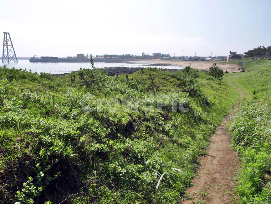 하모해수욕장,올레10코스,올레,서귀포시,제주,올레길,자연,풍경,nature,landscape
