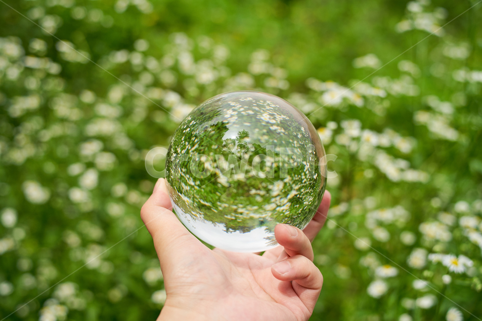 수정,구슬,손,꽃,녹색,반영,crystal,flower,풀밭,식물,자연,plants,nature,꽃,flower,사람,인물,인간,human,person,신체일부,몸,body,감성,sensible,feeling