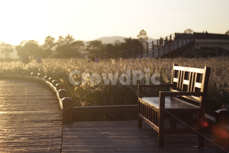 의자,휴식,갈대,공원,길,석양,자연,풍경,nature,landscape,boardwalk,산책로,building,건물,bridge,다리