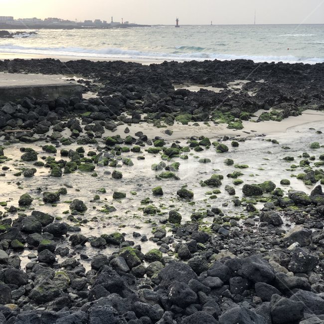 제주도,jeju,바다,물,자갈
