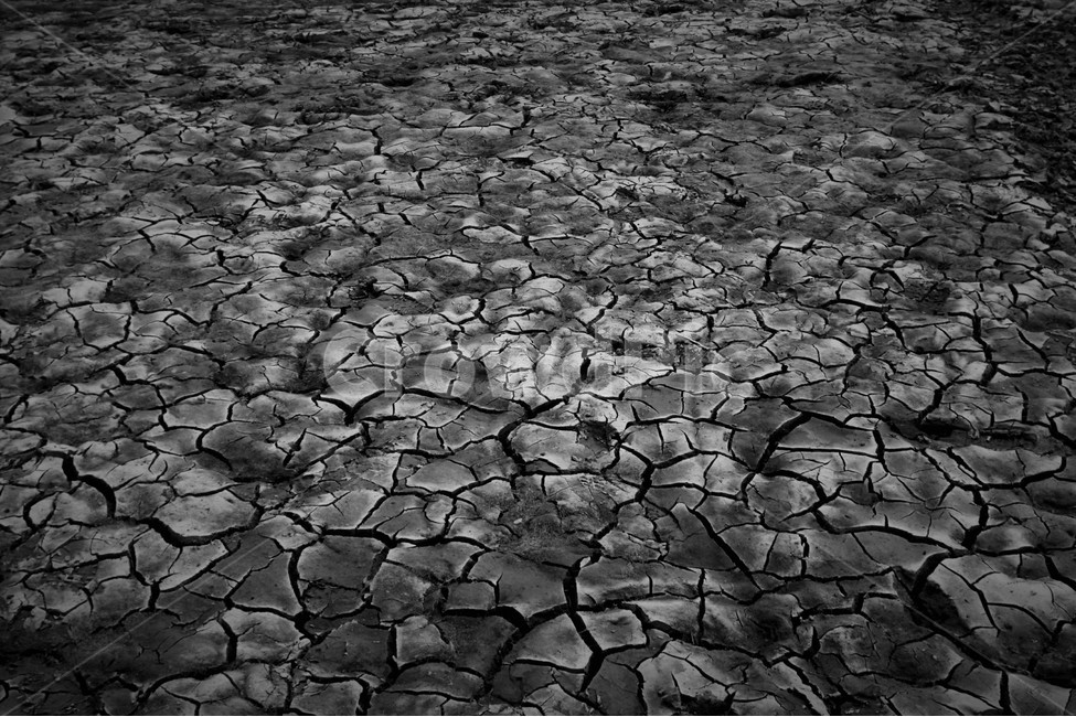가뭄,저수지,호수바닥,거북이등,갈라짐,틈새,자연,풍경,nature,landscape,흑백,모노톤,monochrome,black and white,soil,흙,ground,바닥