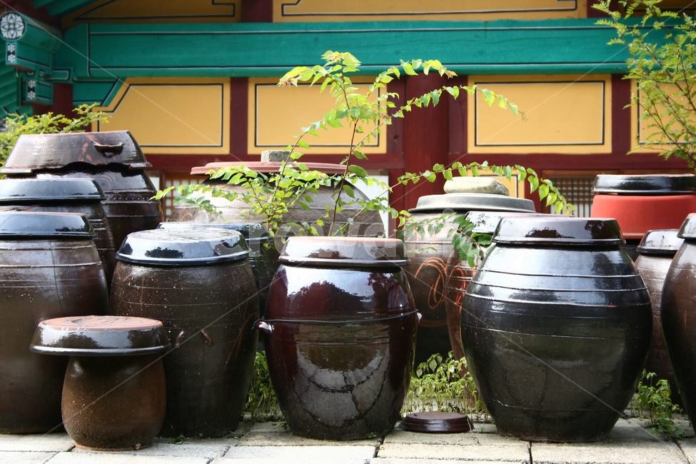 장독대,항아리,된장,숙성,옹기,시골,마을,풍경,landscape,country,rural,town