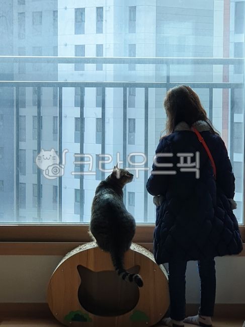 girl in coat,view,child by the window,Apartment view,cat and girl,facing,by the window,cat and child,awindowseat