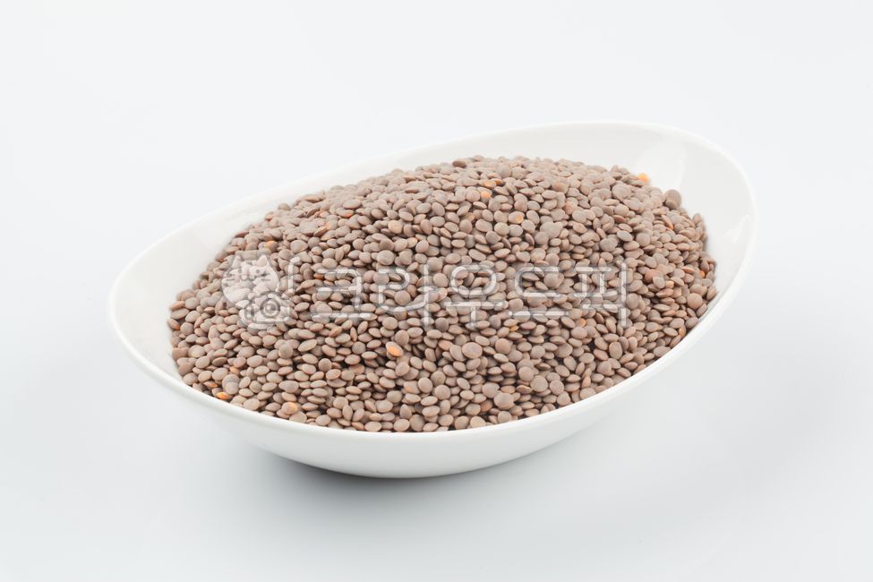 렌틸콩,콩,곡식,곡류,단백질,식이섬유,다이어트,렌즈콩,비타민,슈퍼푸드