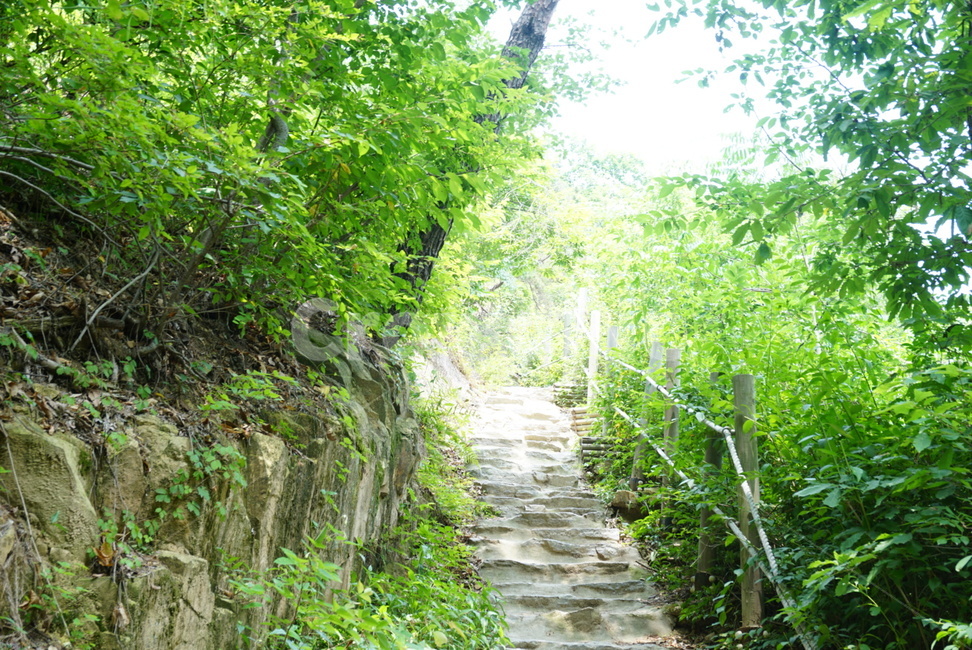 산책로,등산로,등산,풀,솔마루길,울산솔마루길,울산산책,울산광역시,자연,숲,풀숲,나무,자연,풍경,nature,landscape,outdoors,옥외,path,통로,garden,정원,arbour,정자