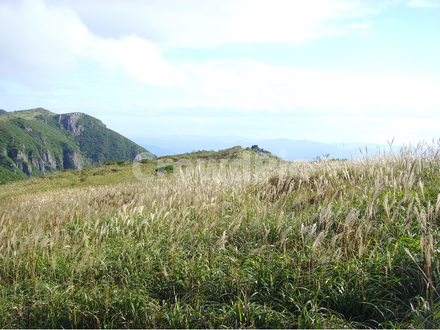 산,영남알프스,신불산,간월산,영축산,갈대,가지산,자연,풍경,nature,landscape,한국자연풍경,한국자연경관,korea nature landscape,outdoors,옥외,hill,언덕
