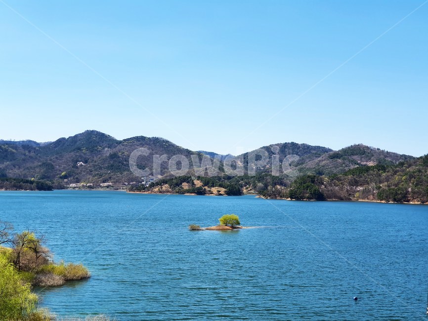 nature,자연,water,물,lake,호수,대청호