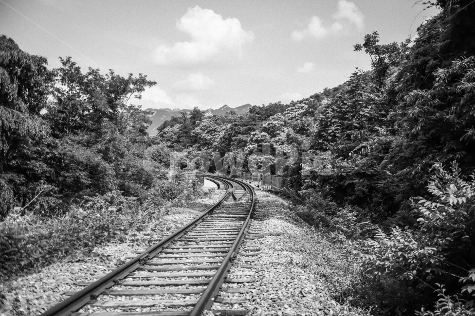 railway,철도,traintrack,기찻길,rail,레일,교통,transportation,풍경,흑백,모노톤,monochrome,black and white
