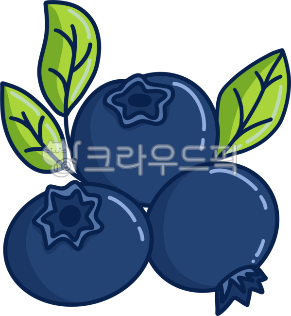 Blueberry,freshness,leaf blueberry,fruit,berry,fruit