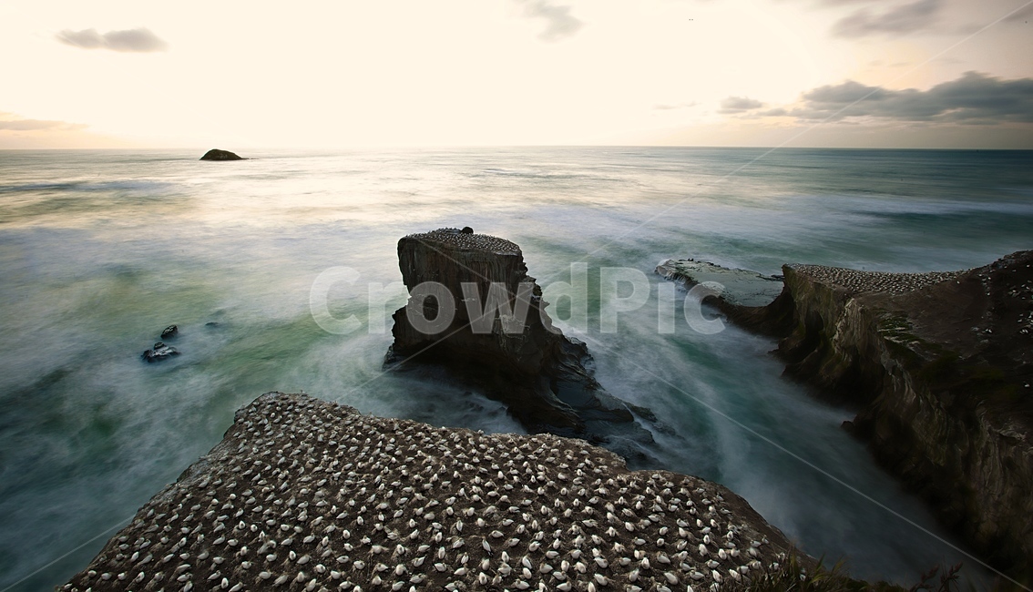 New Zealand,Beach,sunset,garnet,Auckland,Muriwai