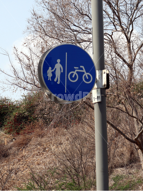 교통,교통표지,보행자,안전,자전거도로,표지,교통,교통수단,traffic,transportation,road sign,도로 표지판,sign,기호