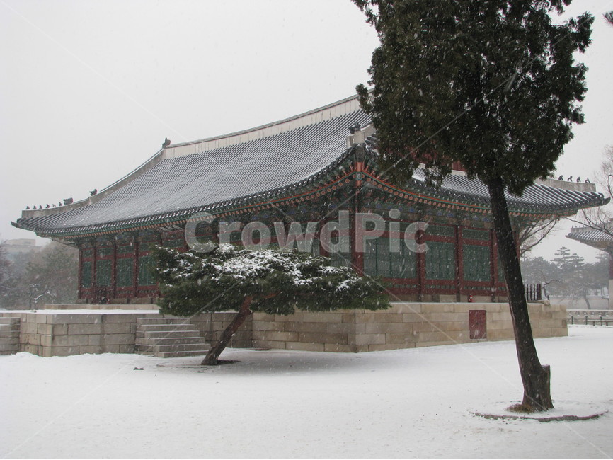 궁궐,경복궁,수정전,겨울,눈,한국,대한민국,겨울,계절,winter,season,한국전통,한국문화,korean traditional,korean culture,랜드마크,landmark,tourist attraction,한국랜드마크,한국관광지,한국명소,korea landmark,korea tourist attraction,건축물,건물외관,exterior,building,structure,architecture,construction