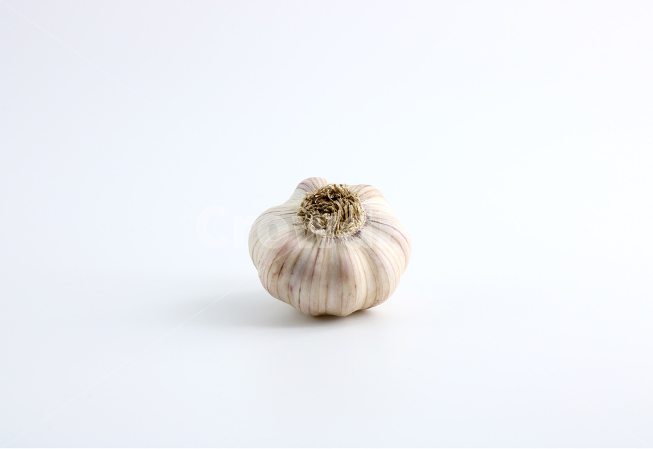 사진,누끼,마늘,야채,채소,햇마늘,육쪽마늘,갈릭,통마늘,재료,식자재,garlic,wholegarlic,vegetable,food,음식,식재료,요리,food,cook,meal,dishes,food reserves,채소,야채,vegetables,누끼,remove background