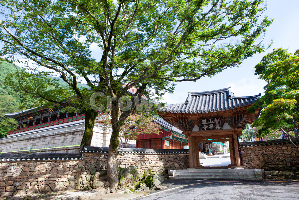 역사,구례,화엄사,기와,처마,한옥,절,건축,나무,식물,단청,전통,천년고찰,돌담,담장,기와장,기와담장,담벼락,빈티지,문화,유산,유물,유적,종교,목조건물,사찰,architecture,건축물,building,건물,temple,불교,고찰,한국전통,한국문화,korean traditional,korean culture,종교,신앙,religion,belief,faith,건축물,건물외관,exterior,building,structure,architecture,construction