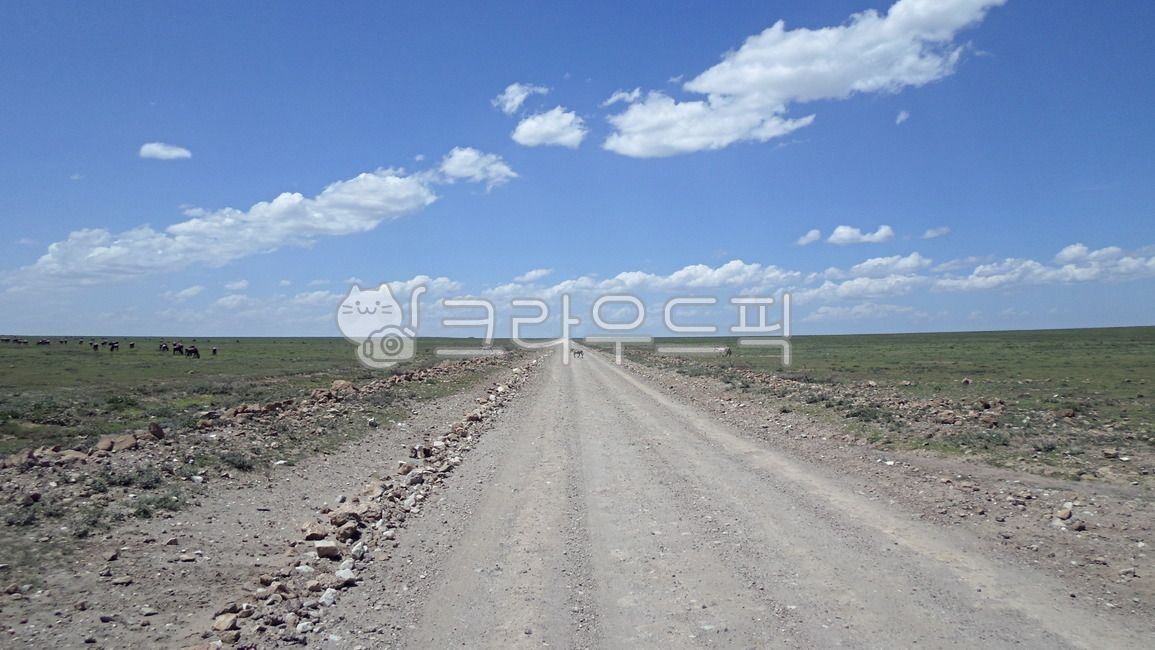 세렝게티,비포장도로,직진,아프리카초원,사파리,자갈