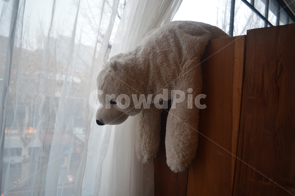 카페,cafe,인형,곰,편안함